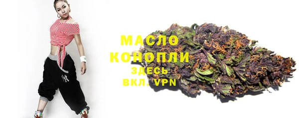 дурь Сатка